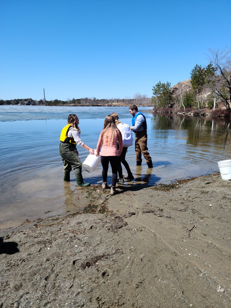 LaurentianU's tweet photo. What a successful Climate March. It was a great way to celebrate Earth day! 🌎 #Environmarch
La Marche pour le Climat a été un succès. C'était une excellente occasion pour célébrer le Jour de la Terre! 🌎 #Environmarch https://t.co/5OStW4KzFg