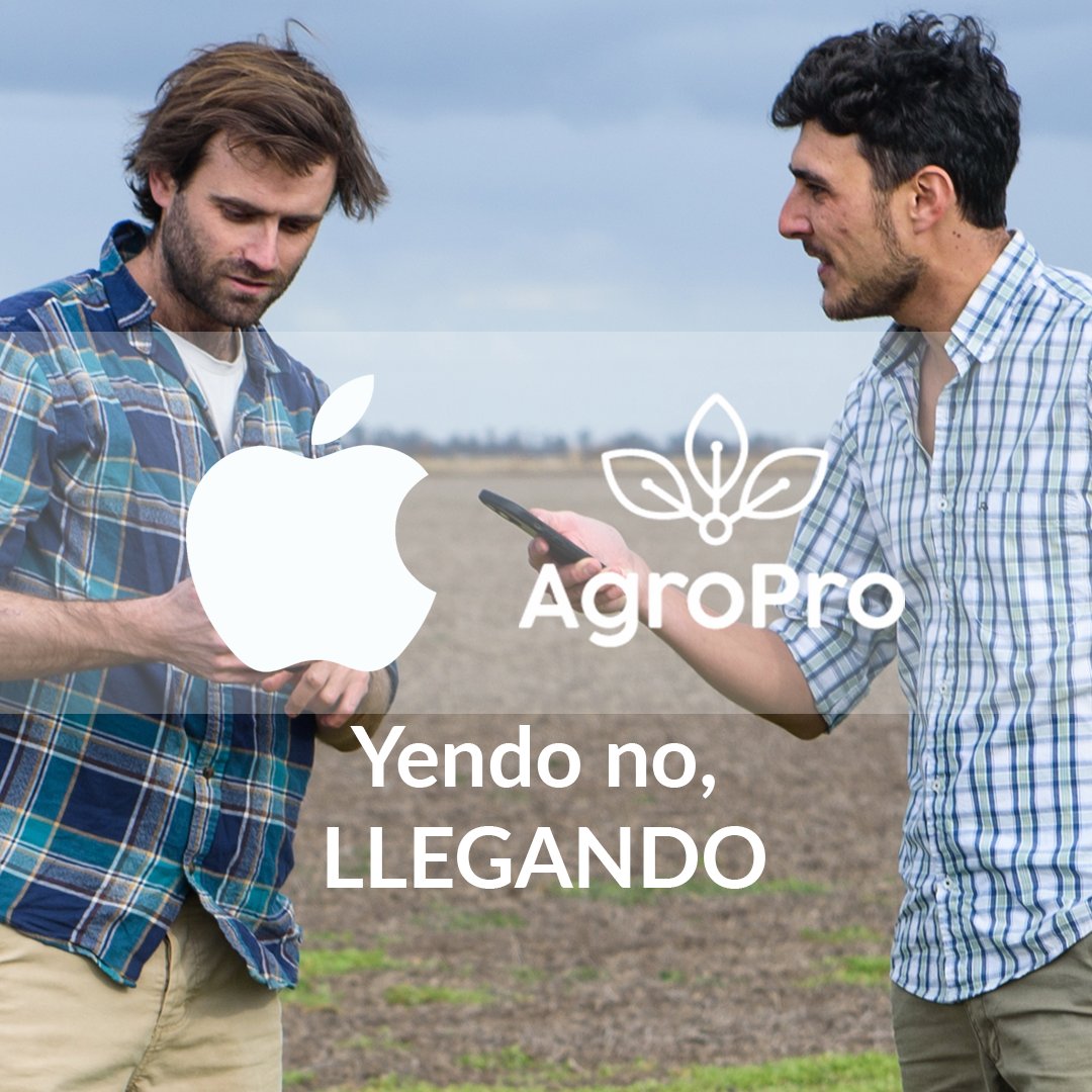 agroproag's tweet photo. 📲¿Tenés iPhone? ¿Te morís de ganas de usar AgroPro?

🔜¡Estamos llegando a iOS, en breve tendremos grandes noticias para vos! 💯🚀 https://t.co/CBxTke0eKJ