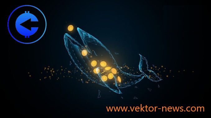 RubvanBron's tweet photo. @VEKTORgives @Vektor_vektor #VEKTOR 🍀🙏 https://t.co/CTu4xCDNEi
