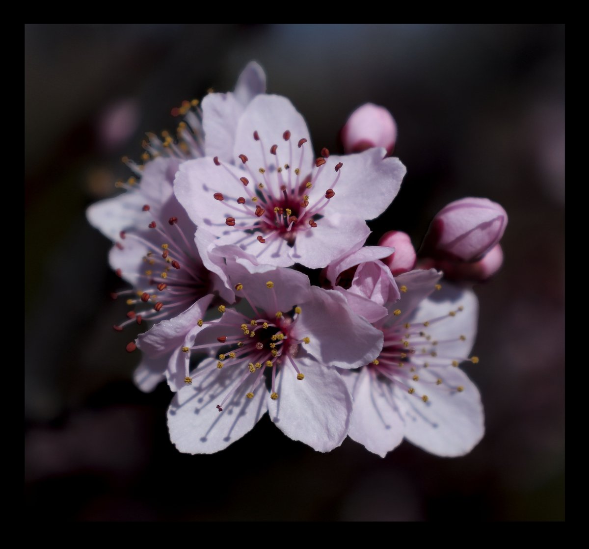 MagySalva's tweet photo. Pequeños detalles

Ph. Magy Salva

#magysalva #magysalvaphotography https://t.co/9EQ788yxpV