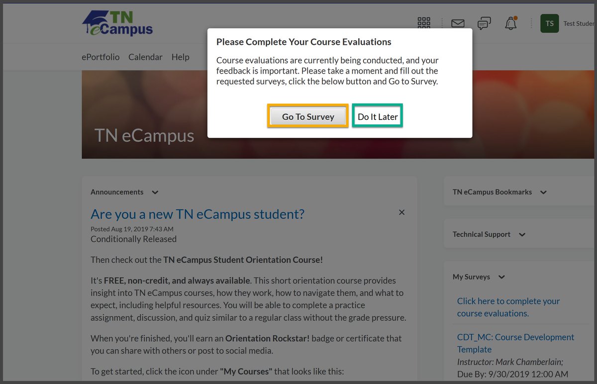 TNeCampus's tweet photo. If you are currently finishing up a TN eCampus course, please take a moment to fill out the course evaluation survey. Your feedback helps us improve our courses! Learn how here: https://t.co/p0kqZ5kIxM https://t.co/lrtqbdjLxK