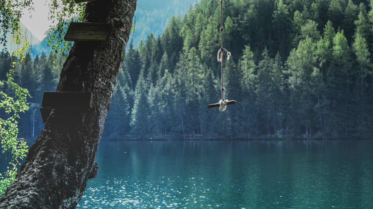 "When you reach the end of your rope, tie a knot in it and hang on." -Franklin D. Roosevelt
P.S. Happy Earth Day!
#YCopyright #FreePhotoFriday

This photo by Paul Gilmore on Unsplash