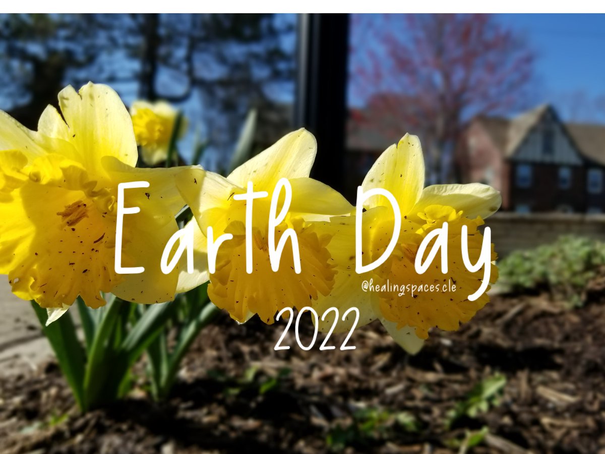 HealCLESpaces's tweet photo. It’s not just a day,
It’s a movement.
“Invest in our planet” &amp; spark the healing inside the human 💚, individually and collectively.

This is what Healing Spaces is here for, to EDUCATE, EMPOWER, and CONNECT us all for this mission.
#earthday2022 #healingspaces #jointhemovement https://t.co/FD1yK5pxWc