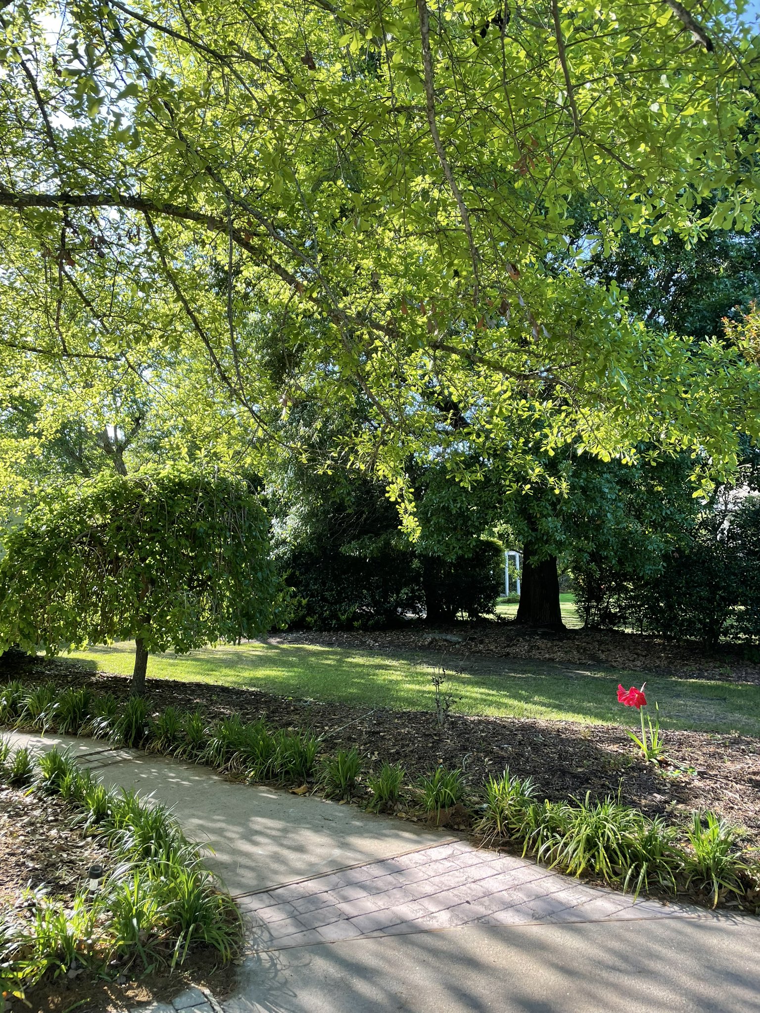 Eva Lovia on Twitter: "Beauty everywhere 🌹💐🌺🌿🌲🍀🍁🥀🌸🌼 https://t.co