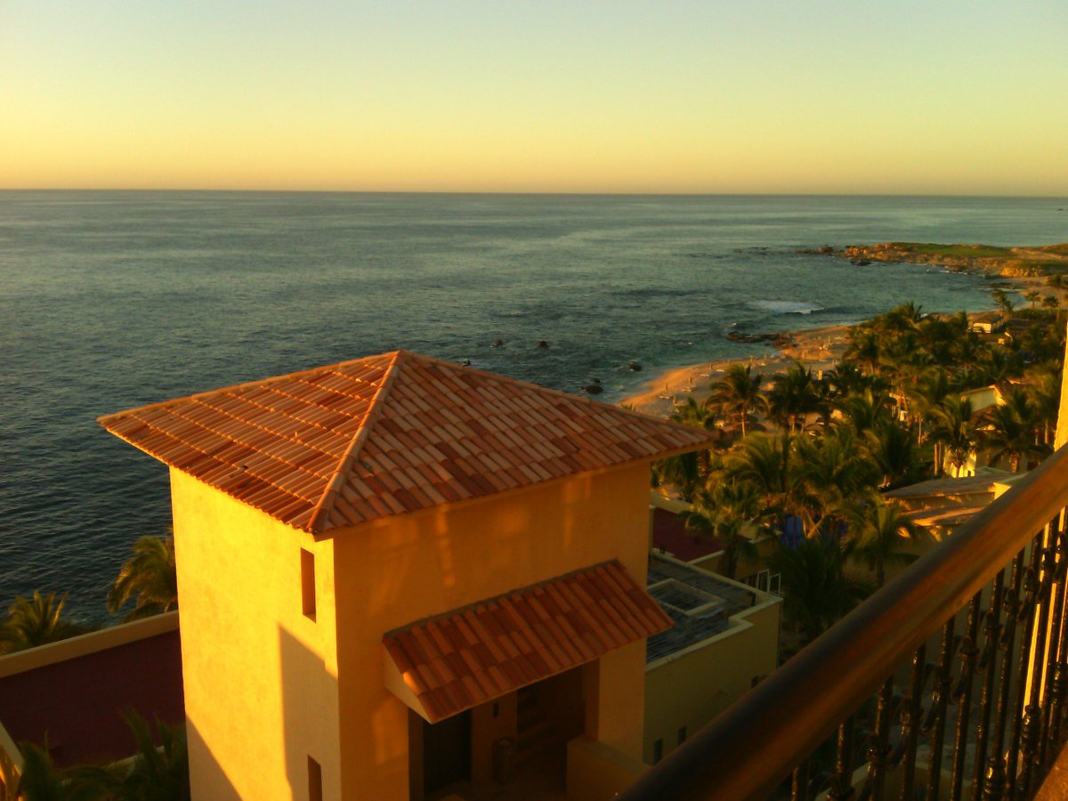 Let us Pray....for Peace....in our Families...in our Peoples....in the whole World....<a href="/amanda94144/">Amanda</a> <a href="/o_franco_aleman/">Franck Marc ✌</a> <a href="/marthachopite/">Martha Chópite Aza</a> <a href="/UleaJesus/">María Jesús Ulea</a> @Just__Aya9 <a href="/emotions_pur/">Juli and co.</a> <a href="/NajemHaifa/">Haifa Najem</a> <a href="/NavarreteIce/">Ice Navarrete 🇲🇽 Bonjour</a> <a href="/xristina_kampa/">xristina</a> <a href="/SarahNo66544470/">Sarah Noah</a> <a href="/WolfRoks/">Анна Васильева🌹</a> <a href="/AimeBeryll/">aime beryll</a>