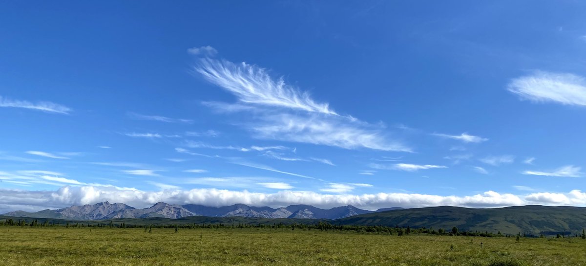 EcossNAU (@ecossnau) on Twitter photo Ecoss researcher <a href="/tedschuur/">Ted Schuur</a> shared this photo: "This is Stampede Road, Alaska where I have spent a lot of time by myself and with others thinking about changing ecosystems and how they interact with the Earth system and all of us that live upon it." #EarthDay2022 Ecoss researcher <a href="/tedschuur/">Ted Schuur</a> shared this photo: "This is Stampede Road, Alaska where I have spent a lot of time by myself and with others thinking about changing ecosystems and how they interact with the Earth system and all of us that live upon it." #EarthDay2022