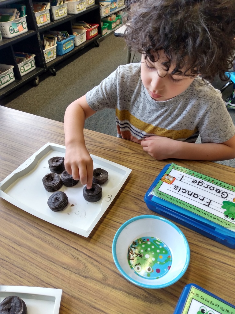 CHUHSchools's tweet image. Happy Earth Day from CH-UH! Students at Rox El did some hands-on learning, planting new seeds and unearthing trash buried in October to see the differences in how materials decompose. #CHUHSchools