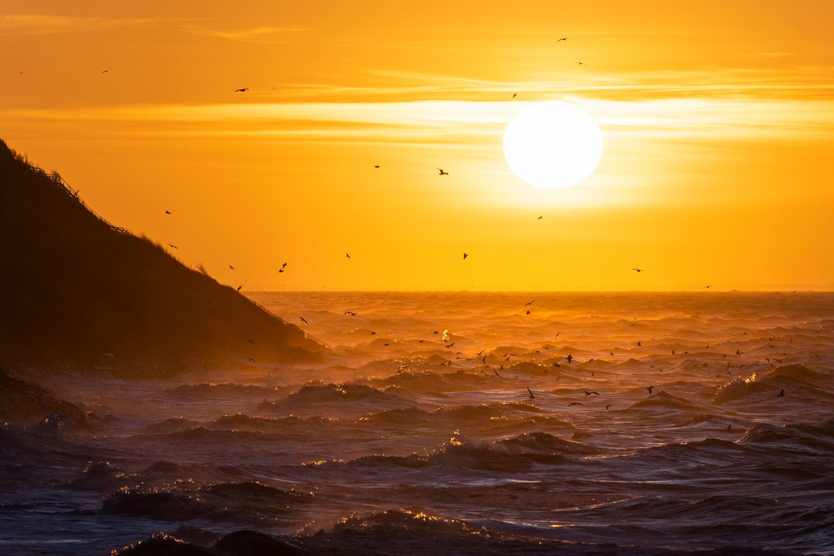 MadsPeterIverse's tweet photo. A few photos I've taken in Denmark in 2022 to celebrate #EarthDay2022 #EarthDay https://t.co/p3qTMd8wvV