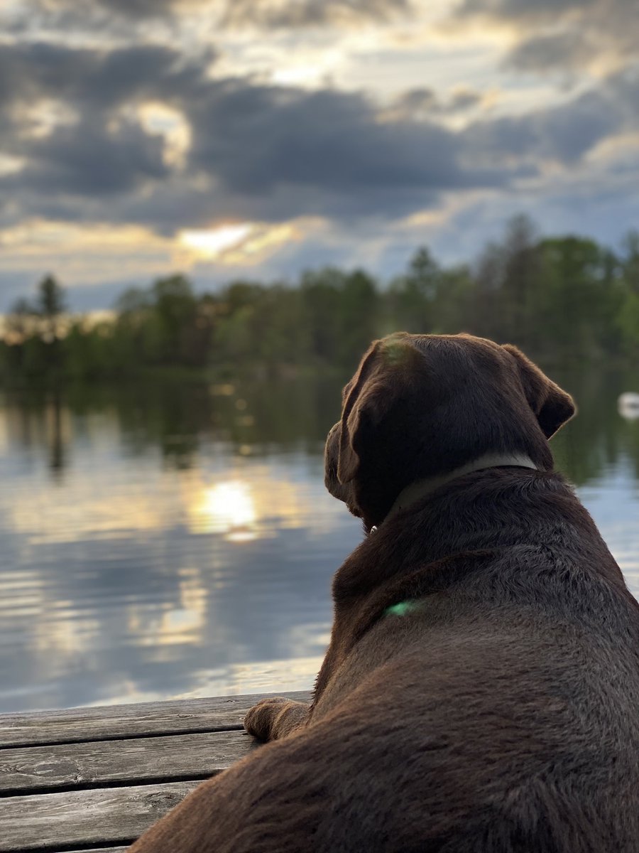 One more time for the people in the back: Love the earth. It’s the only planet with dogs. 🌍  🐾 #EarthDay2022