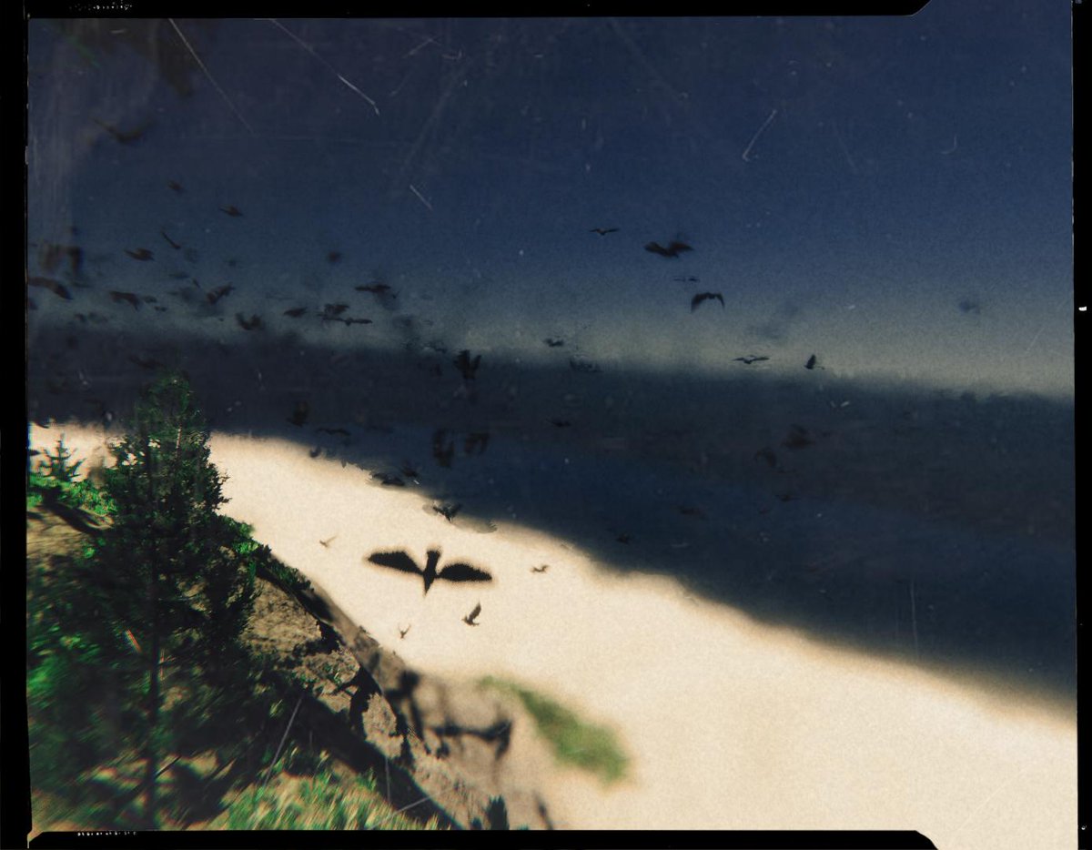 There is something in the air!!!

#100DaysofGameDev #gamedev #IndieGameDev #indiegames #madewithunity #VirtualPhotography