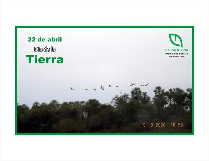 FaunaVida's tweet photo. 22 de abril: Día Internacional de la Madre Tierra.
Los ecosistemas sustentan todas las formas de vida de la Tierra. De la salud de nuestros ecosistemas depende directamente la salud de nuestro planeta y sus habitantes.

#diadelatierra #earthday #cambioclimatico #climatechange https://t.co/2I23lRkP5Q