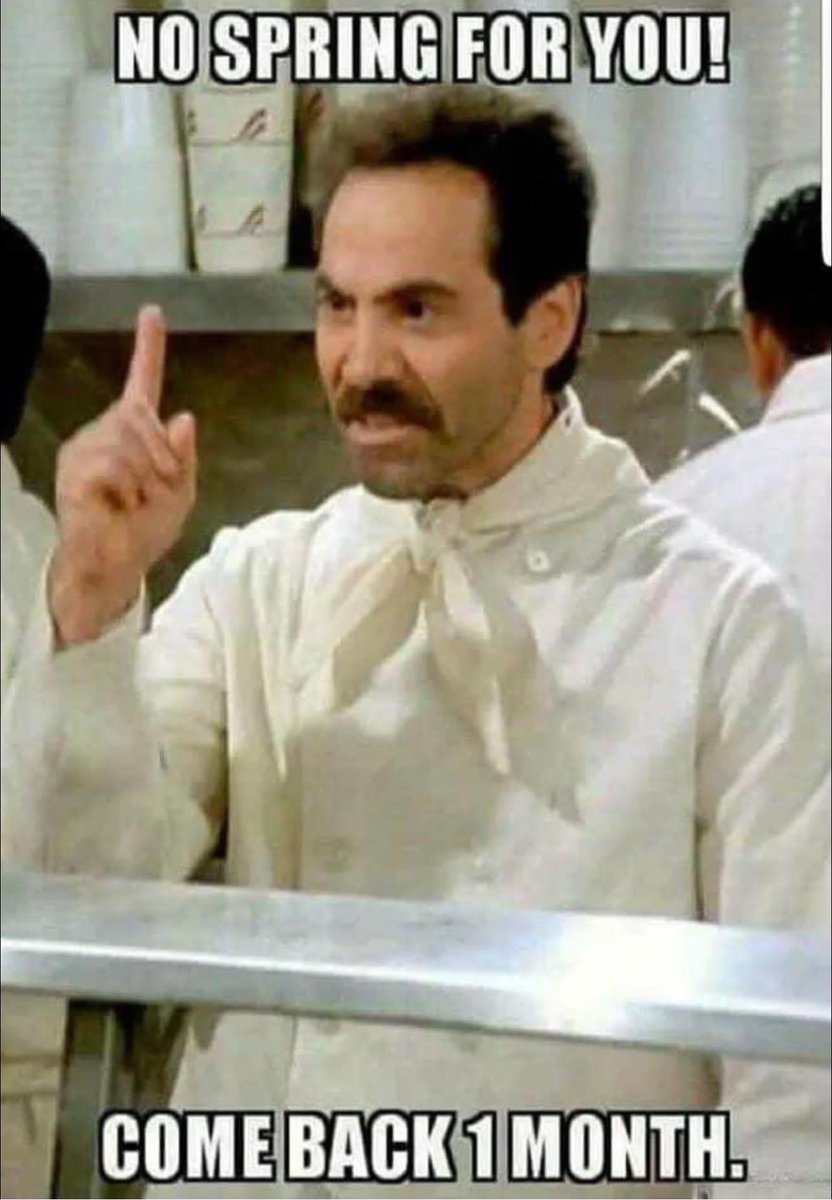 Brandon Freel tweet media