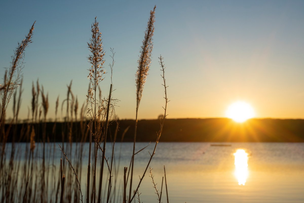 DorteHedengran's tweet photo. I´m back from my trip to Jutland, Denmark. This evening from Lyngshojsoerne in Svogerslev, Denmark.
#Denmark #NaturePhotography #sonyalpha #photooftheday #April22th #FridayVibes #FridayThoughts #fridaymood #friday #sunset
📸 Dorte Hedengran https://t.co/ECxFvOBiUw