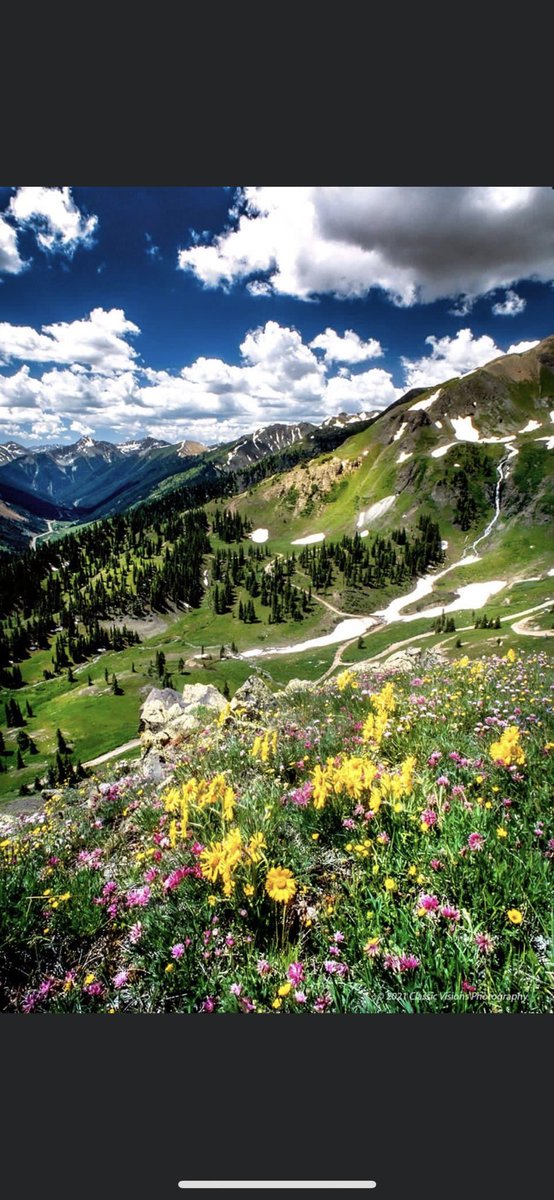 Kelly Rosati tweet media