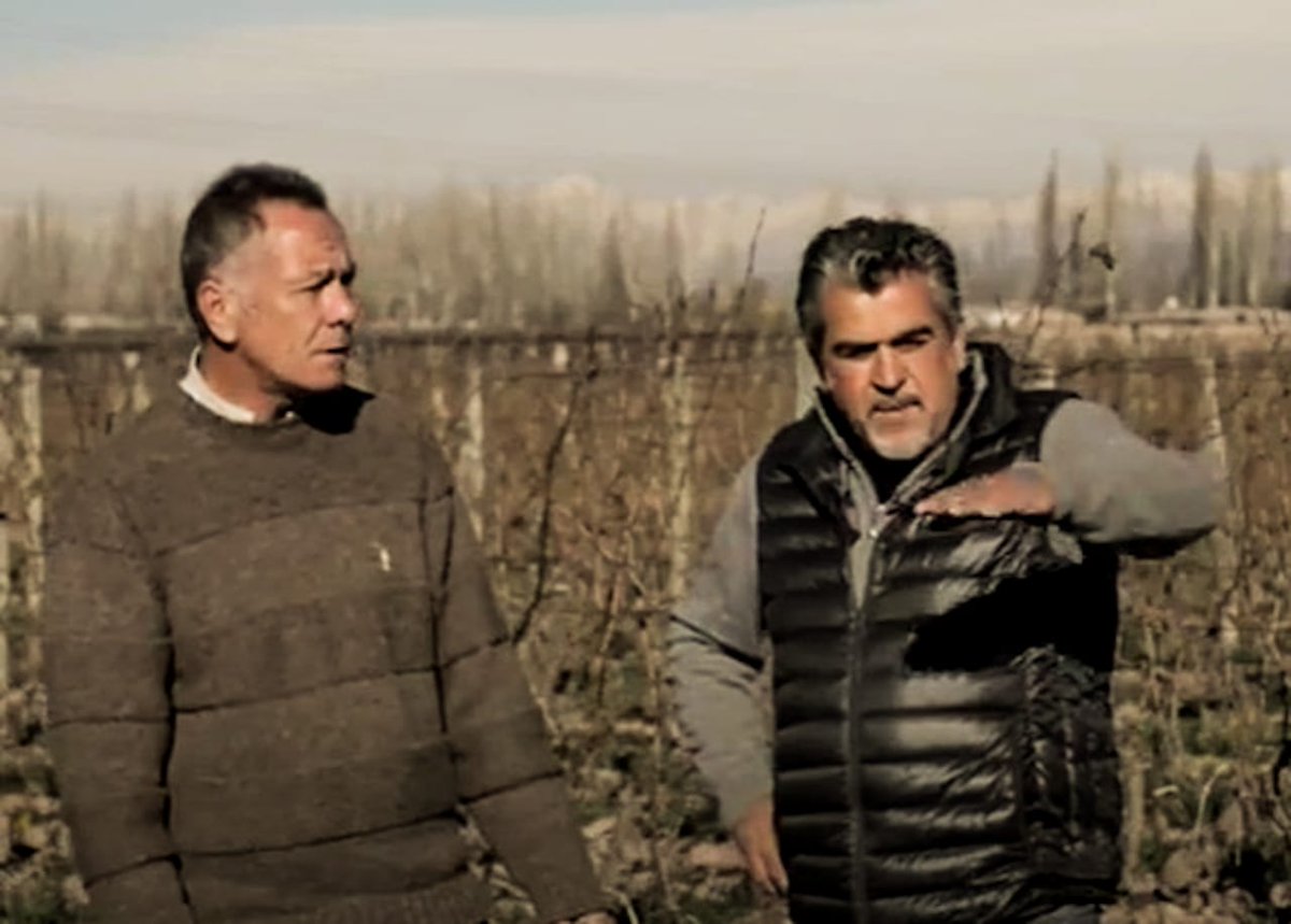 Matervini's tweet image. En este #DiaDeLaTierra2022 decimos sí a seguir promoviendo acciones que ayuden a preservar el lugar en el que vivimos. Mirá el video que hicimos con Juan Pablo Calandria y Roberto Cipresso, sobre el compostado.
youtube.com/watch?v=4LYO4v… 
 #DiaMundialDeLaTierra #EarthDay2022