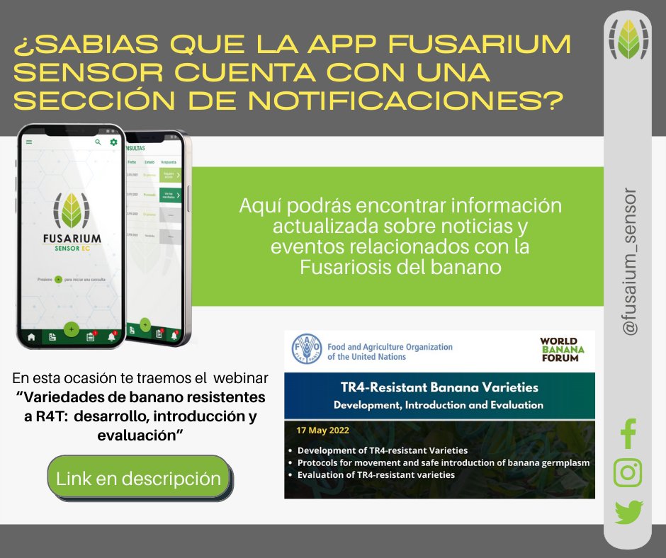 Fusarium Sensor EC (@fusarium_sensor) on Twitter photo Inscribete en el Webinar Variedades de Banano Resistentes a R4T: Desarrollo, Introducción y Evaluación. ¡No te pierdas de este y mas eventos en la sección de notificaciones de Fusarium Sensor EC!  
Link de registro fao.org/tr4gn/news/new… 
#fusariumsensorec #ecuadorsinfocr4t Inscribete en el Webinar Variedades de Banano Resistentes a R4T: Desarrollo, Introducción y Evaluación. ¡No te pierdas de este y mas eventos en la sección de notificaciones de Fusarium Sensor EC!  
Link de registro fao.org/tr4gn/news/new… 
#fusariumsensorec #ecuadorsinfocr4t