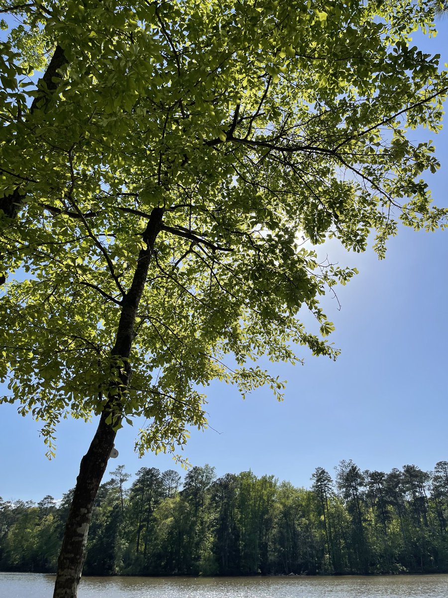 nurselkd's tweet photo. EARTH DAY! https://t.co/5pEJilQKn2