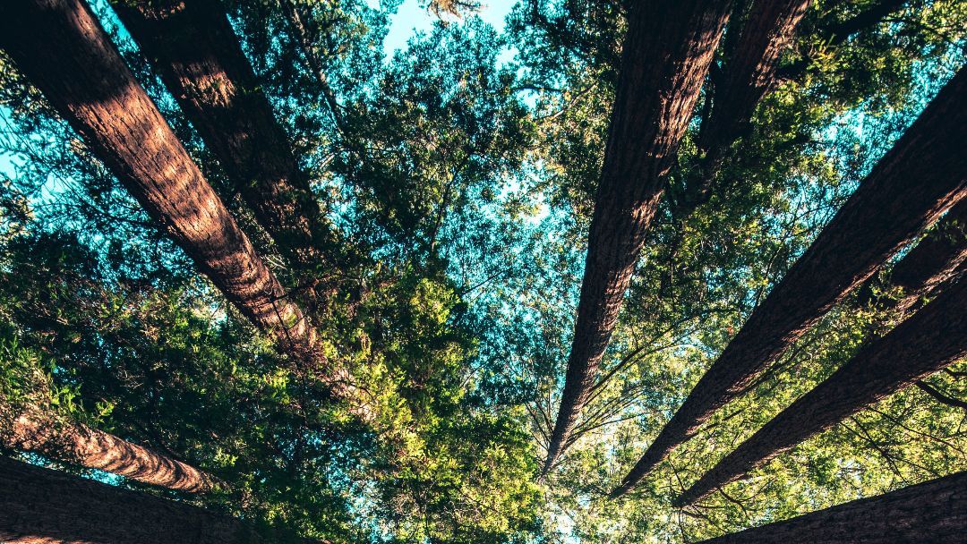 StokeGrowth's tweet photo. Happy Earth Day!

https://t.co/nVUgds2XeN

#stokegrowth #richgrof #earthday #happyearthday #protectourplanet #life #bestday #happyearth #earthday #planet #planetearth https://t.co/qxGefWcyEW