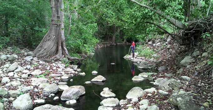 Ccajar_Eng's tweet photo. Despite the fact that the governance of @IvanDuque is in favor of destroying #BrunoStream to expand mine. @Cerrejoncol, @Glencore and @AngloAmerican intend to compensate us with our taxes, millions of dollars, because @CConstitutional ordered to suspend destruction of the creek https://t.co/yPZT3aWc8n
