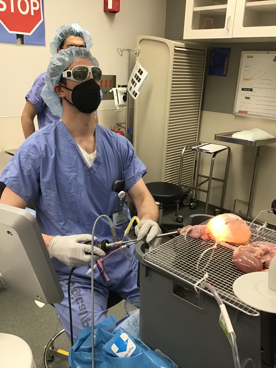 Orange you glad you chose @MayoClinic for your #residency? Check out @DrDUrology showing @britneylau, @kellypayne92 and Dr. Heslop the basics of #enucleation on a pig bladder and a #cutie. We are so lucky to have engaged consultants who were once Mayo residents themselves!