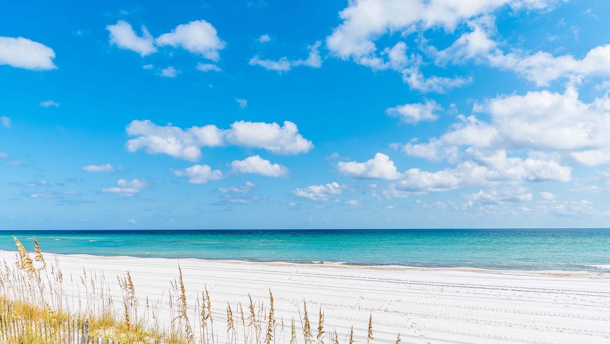 Southern Vacation Rentals tweet media