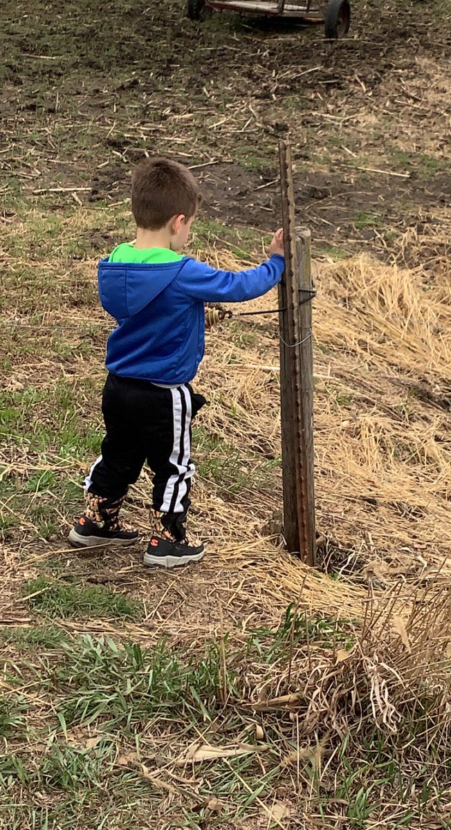 Quentin Stephens tweet media