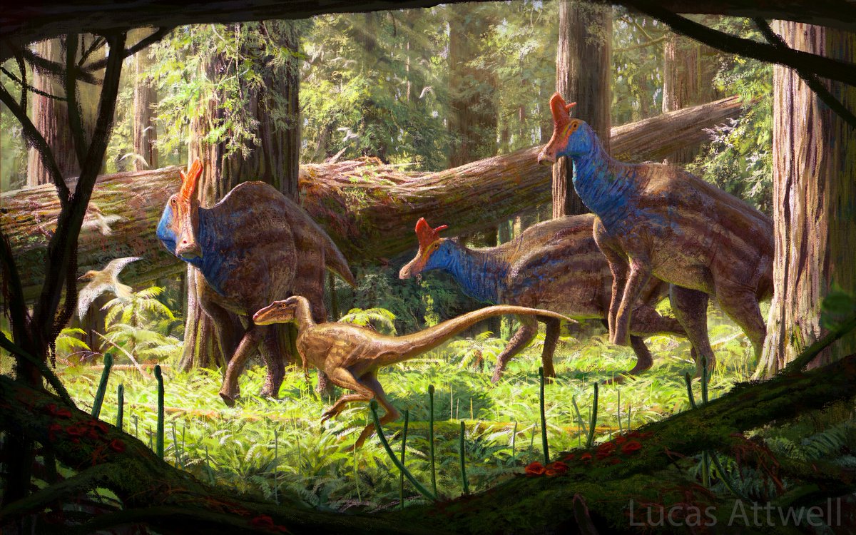 Lambeosaurus and a juvenile Gorgosaurus