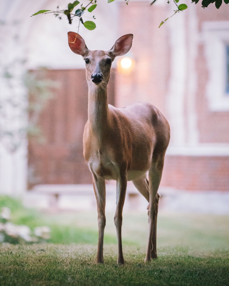 Forget the nature documentaries, come to #URichmond to celebrate this #EarthDay. ❤️💙🌎