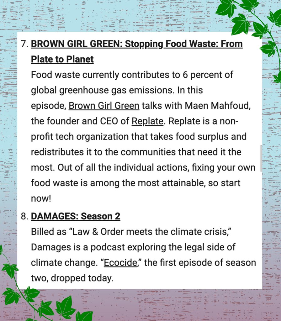 Courtney Kocak tweet media