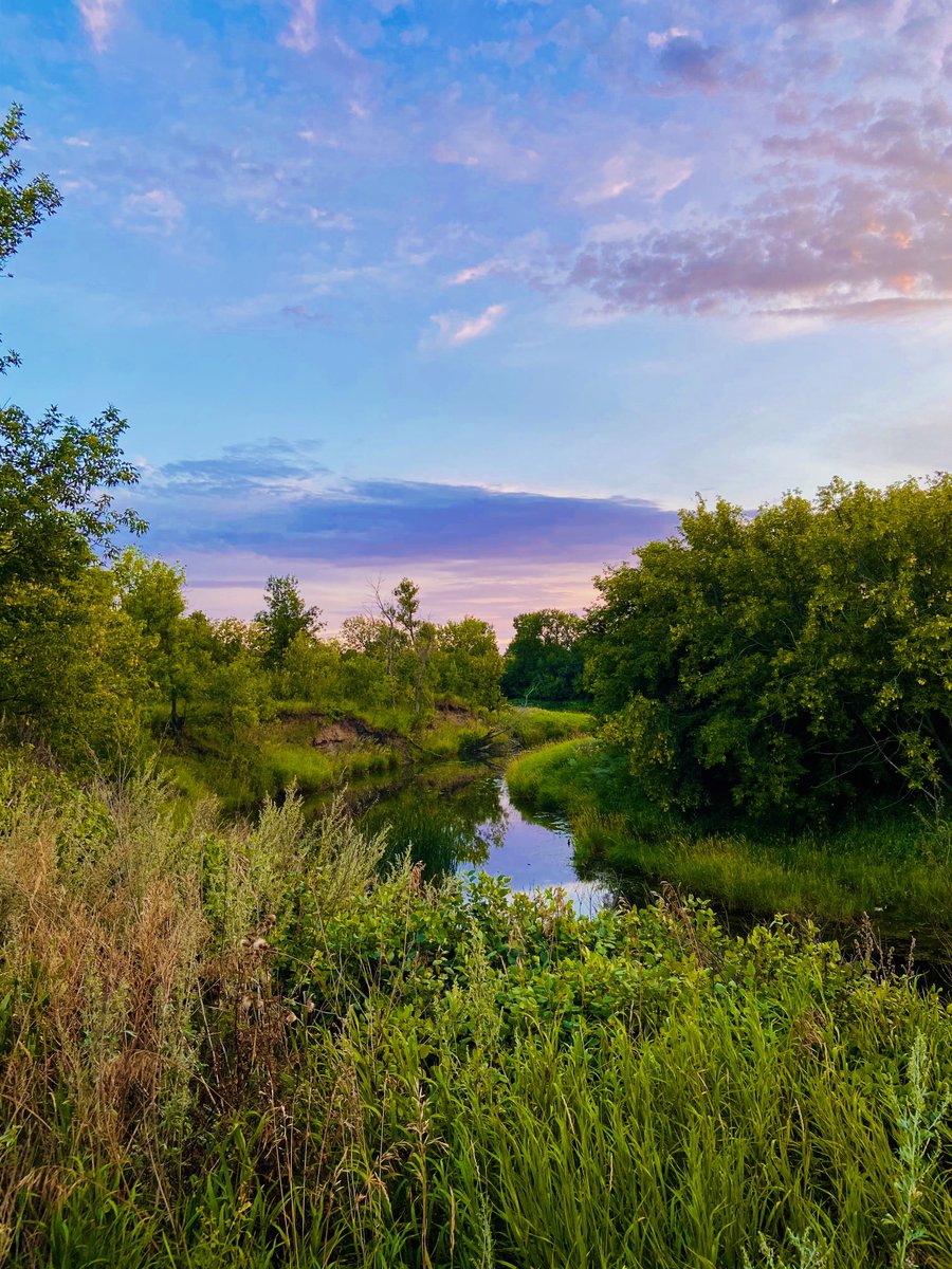 TourismEstevan's tweet photo. 1/2 
Happy Earth Day from Tourism Estevan! 🌎

We want to celebrate by sharing these beautiful photos courtesy of Justine Haines, snapped at dawn last summer at Woodlawn Regional Park. https://t.co/RV496ma8Zr