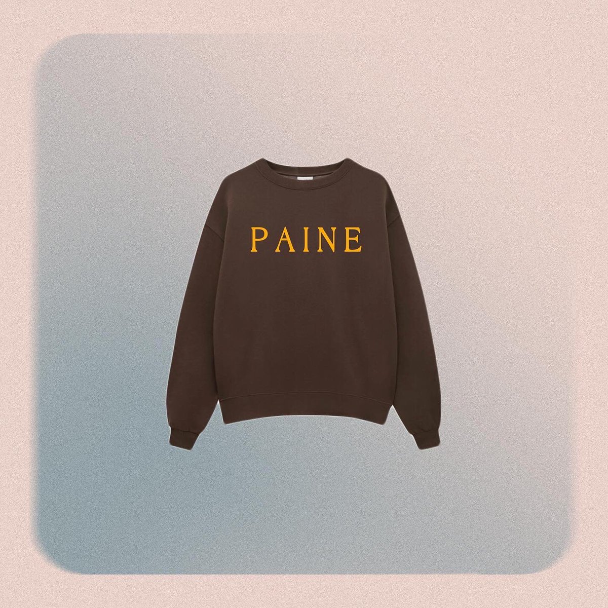 PAINE tweet media