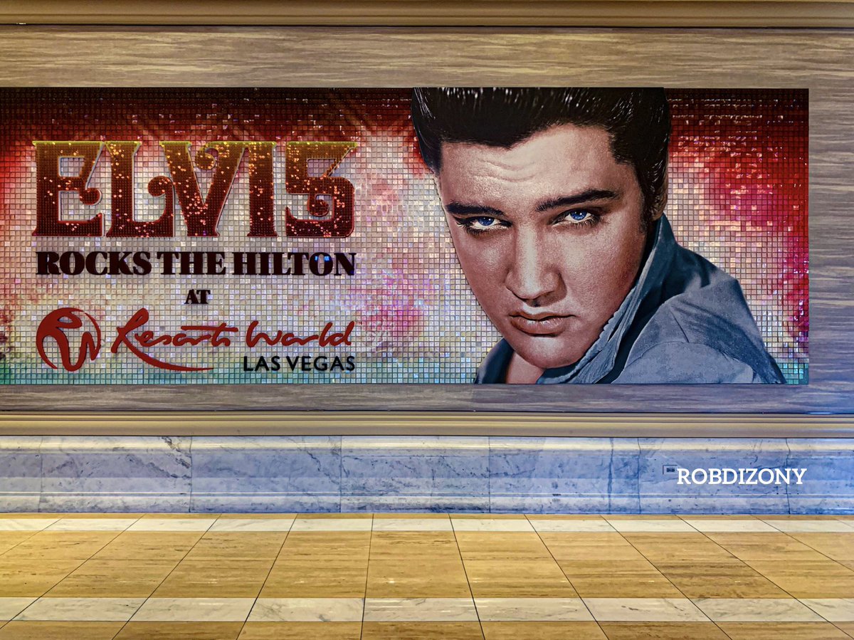 RobDizonY tweet media