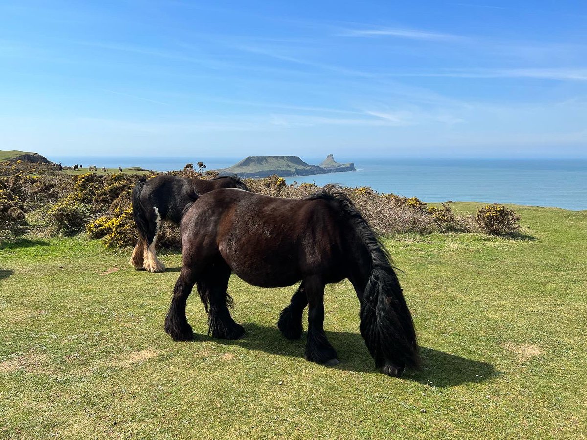 Amazing time in Wales 🏴󠁧󠁢󠁷󠁬󠁳󠁿 last week, beautiful weather (yes really, even in Wales). Much needed refresh ☀️ 🌊