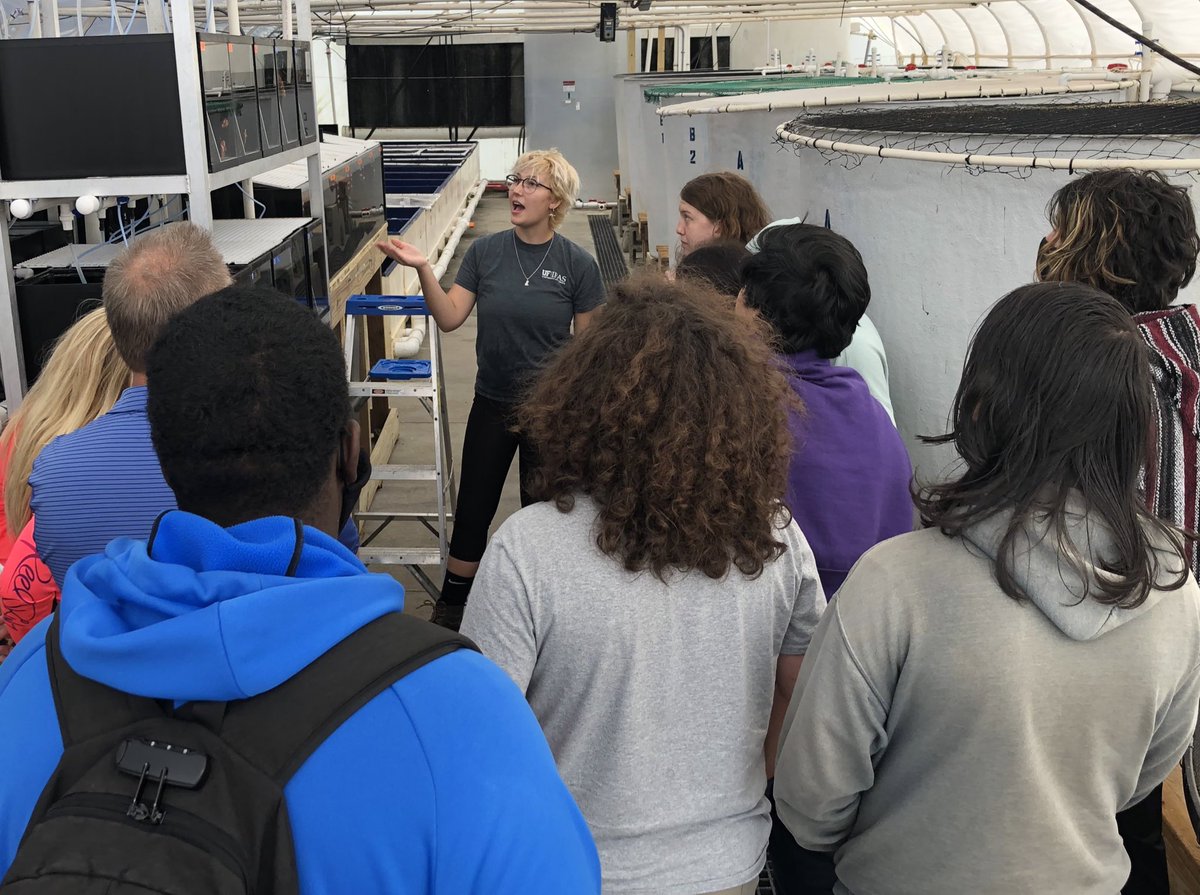 UF/IFAS TAL (@uf_ifas_tal) on Twitter photo Our own grad student Olivia Markham explaining her Masters research to the kids at Lakewood HS <a href="/my_lakewoodhigh/">Spartan News Network</a> The next generation of aquaculture inspired!! #TeachAquaculture Our own grad student Olivia Markham explaining her Masters research to the kids at Lakewood HS <a href="/my_lakewoodhigh/">Spartan News Network</a> The next generation of aquaculture inspired!! #TeachAquaculture