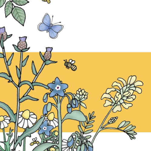 BeesAbroad's tweet photo. Happy #EarthDay from Bees Abroad! Look out for news coming soon on how  you can join in #worldbeeday celebrations! 
@EmmaLDesigns https://t.co/Ce3eCLzpPr