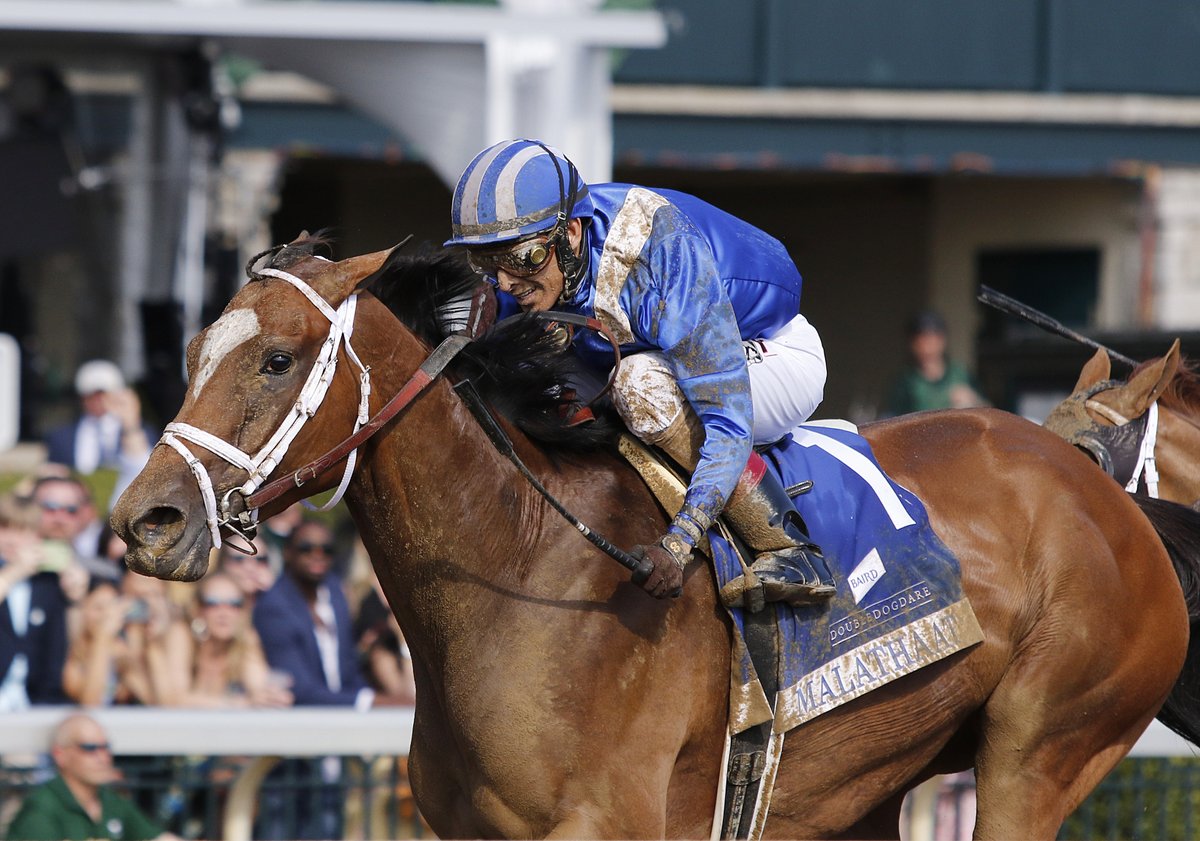 MALATHAAT makes a triumphant return in the Grade 3 Doubledogdare under jockey @ljlmvel for trainer @PletcherRacing and owner @ShadwellFarm @HR_nation @abrlive @hipismonet

📷 Candice Chavez