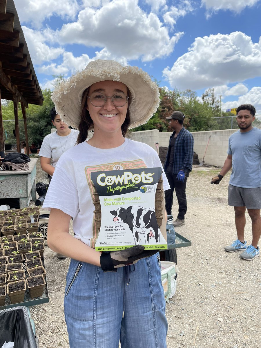 Transplanting tomatoes and peppers for #EarthDay by U-ACRE fellows and service-learning students @fullarboretum on the #CSUF campus. Heading to the <a href="/csuf/">Cal State Fullerton</a> Learning Farm, K-12 schools, <a href="/MonkeyBizCafe21/">Monkey Business Cafe</a>, &amp; Project Rebound. #NIFAImpacts <a href="/USDA_NIFA/">NIFA</a> <a href="/CowPots/">CowPots</a>
