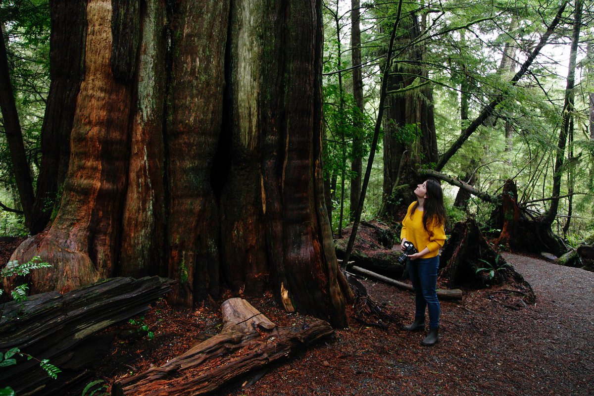 TourismUcluelet tweet picture