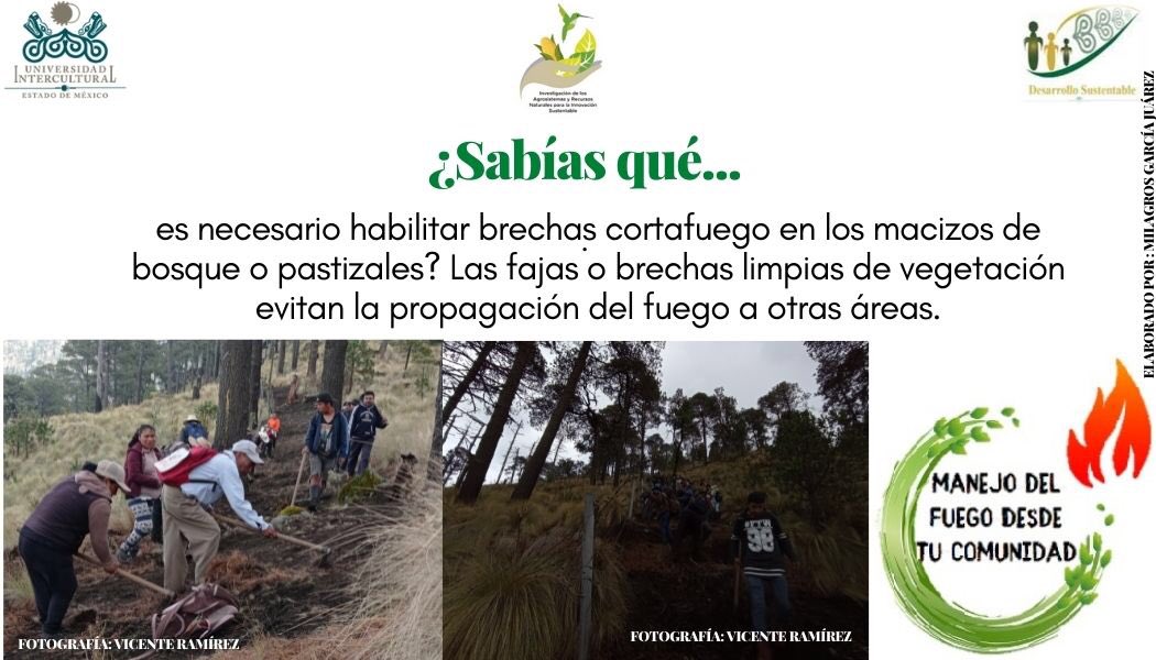 UIEMOficial's tweet photo. La licenciatura en Desarrollo Sustentable, durante esta temporada de incendios, te invita a consultar el programa de difusión "Manejo de fuego desde tu comunidad", a cargo de la estudiante de octavo semestre Milagros García Juárez" #NoQuema https://t.co/i3zMJdUupY