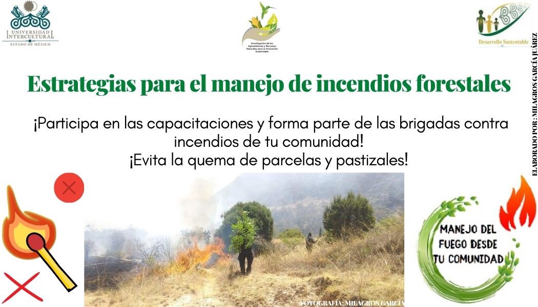 UIEMOficial's tweet photo. La licenciatura en Desarrollo Sustentable, durante esta temporada de incendios, te invita a consultar el programa de difusión "Manejo de fuego desde tu comunidad", a cargo de la estudiante de octavo semestre Milagros García Juárez" #NoQuema https://t.co/i3zMJdUupY
