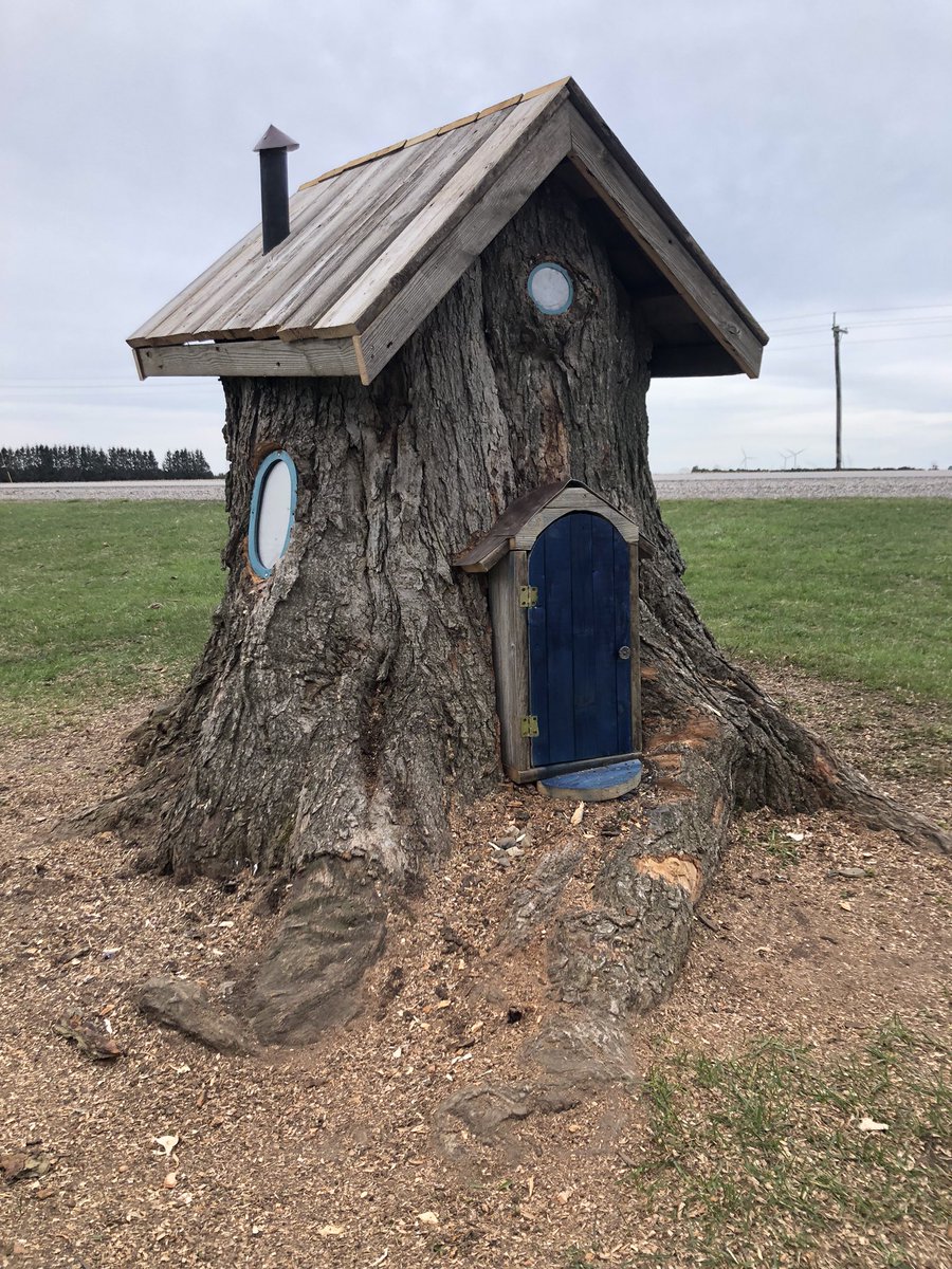 I searched for an easy way to remove a large stump that has wire and metal in it. Decided to leave it and turn it into a yard feature. #gnomehouse #Pinterest