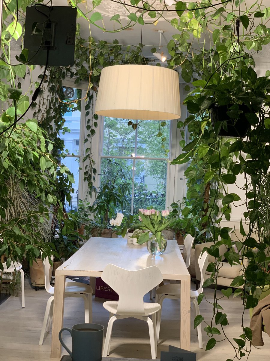 🌎🌱🍃🌳Happy Earth Day 🌳🍃🌱🌍 Fill your home with plants. They’re great company and clean the air 💚🌱🍃