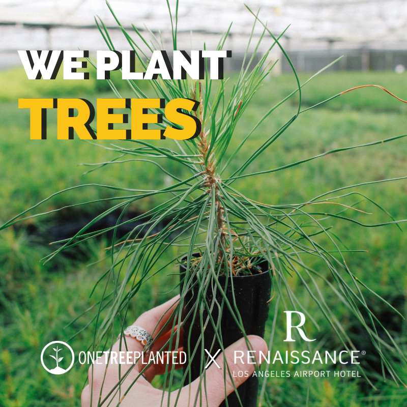 RenaissanceLAX's tweet photo. We’re happy to announce that we’re celebrating #EarthDay by partnering up with @onetreeplanted to plant trees! 🌲 
The trees planted will help restore California forests damaged by wildfires. 

#earth #trees #nature #earthmonth #reforestation #california  #earthday2022 #renhotels https://t.co/bKxmRS4Kbf