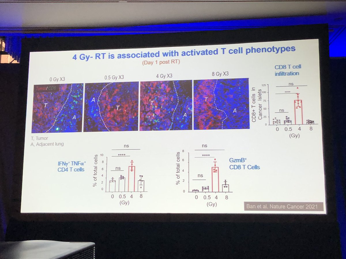 Rockstar @mittallab @WCM_MeyerCancer found the immune-modulation of radiation therapy with anti-PD1 involved secretoglobin Scgb1a1+ club (Clara) cells in #lungcancer CC10 is increased in NSCLC patients responding to combo therapy @sitcancer #SITCworkshop #TME