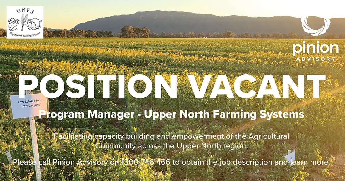 UNFS is looking for a Program Manager to join our team. 
This is a new full-time position based in the region working across all areas of the organisation. Follow the Seek link seek.com.au/job/56565636 or call Pinion Advisory on 1300746466 for the full details.
