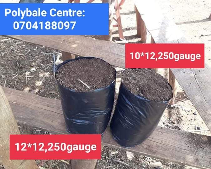 Reach me on 0704188097 for immediate dispatch to your location.