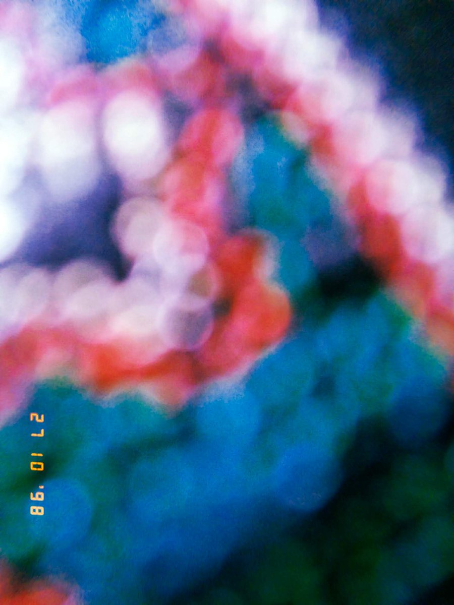turquoisepov's tweet photo. i think i could die for bokeh photography
(Saturday, October 27, 2018)
#bokeh #photography #foto #photo #fotografia #desfoque #blur #vsco #lightroom #photooftheday https://t.co/GFoJY37UhV