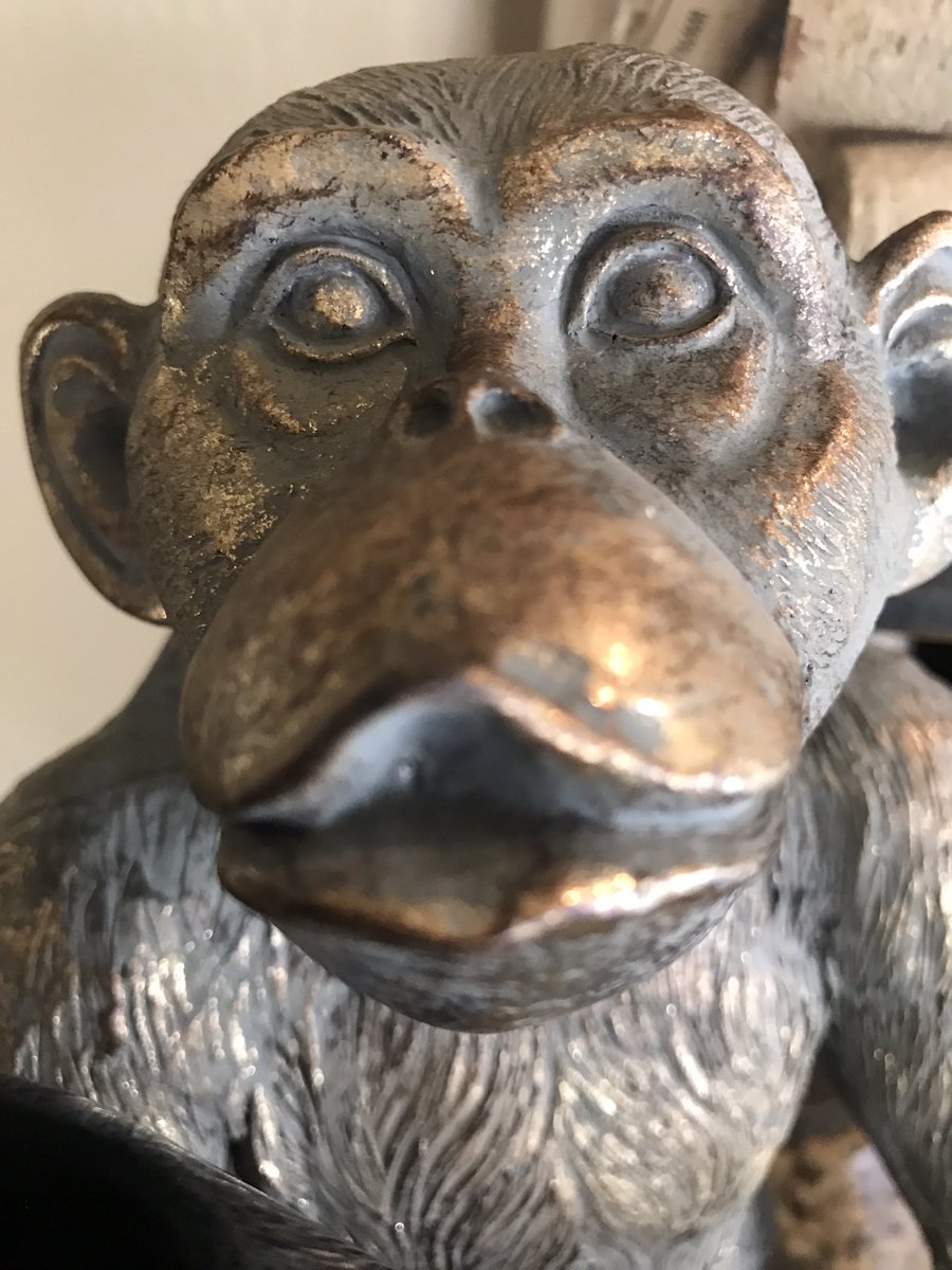 SuzyQlovesWine's tweet photo. The #winemonkey arrived!!! Thanks to @pwatermeier and her kickass ingenuity. He is from London and has visited Austin, somewhere in Nebraska and settled in Oklahoma. Now for a name… https://t.co/MlPypOz4Fy