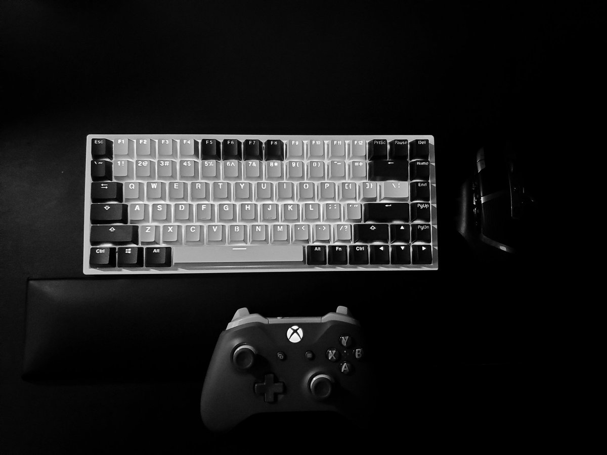 PaintedBlank's tweet photo. #hybrid #gaming https://t.co/6kQgfIRTWS