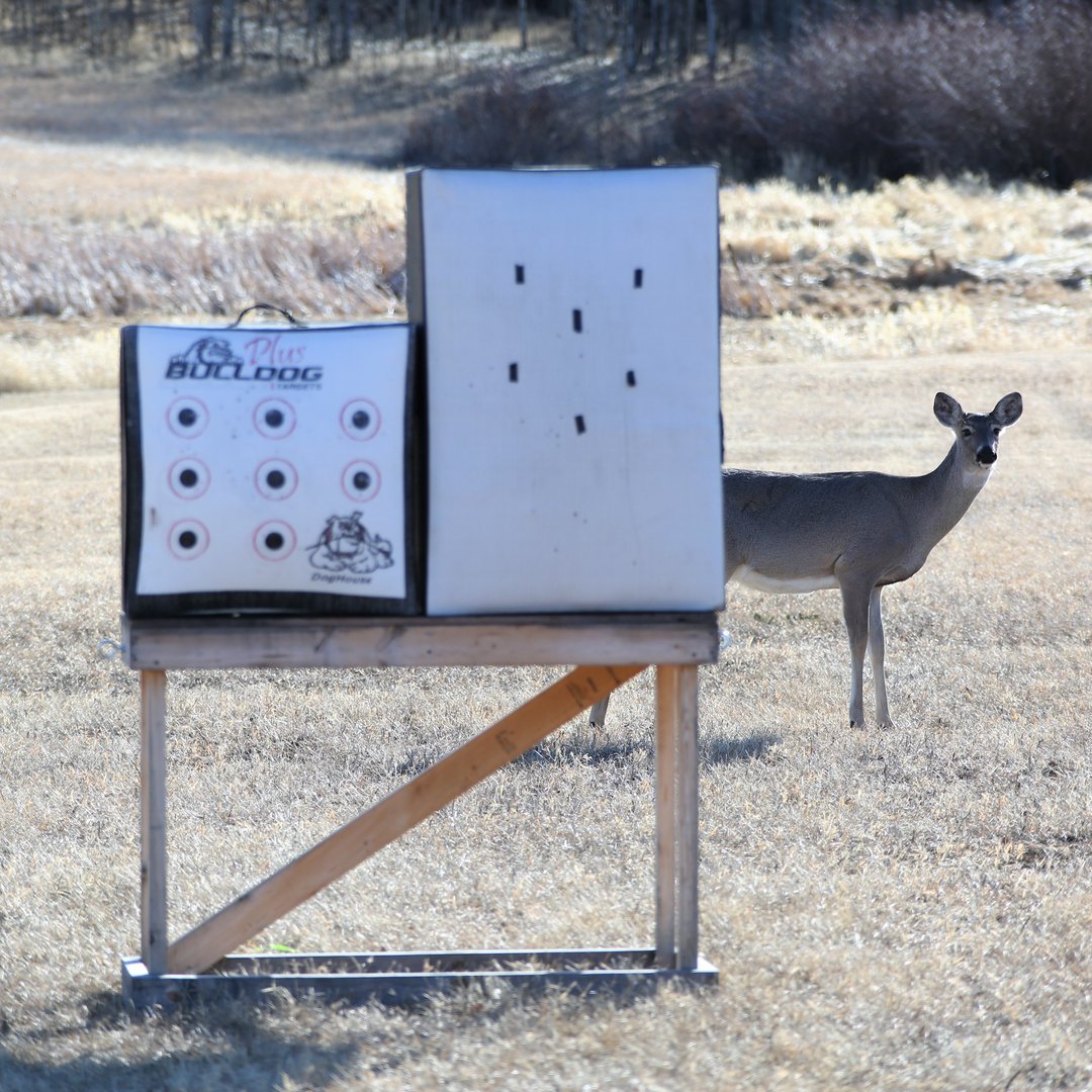 I was enjoying my morning coffee, getting the new V3X dialed in when I enjoyed the company of an unexpected visitor. I hope this is a sign of how the whitetail powers that be will smile down on me come the prerut!

@kenetrekboots <a href="/mathewsinc/">paul mathews</a> <a href="/vortexoptics/">Vortex Optics</a> <a href="/sitkagear/">Sitka Gear</a> @ducksunlimit